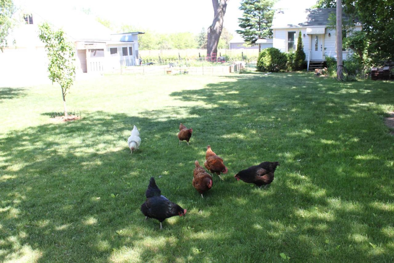 Green Oaks B&B Niagara-on-the-Lake Esterno foto