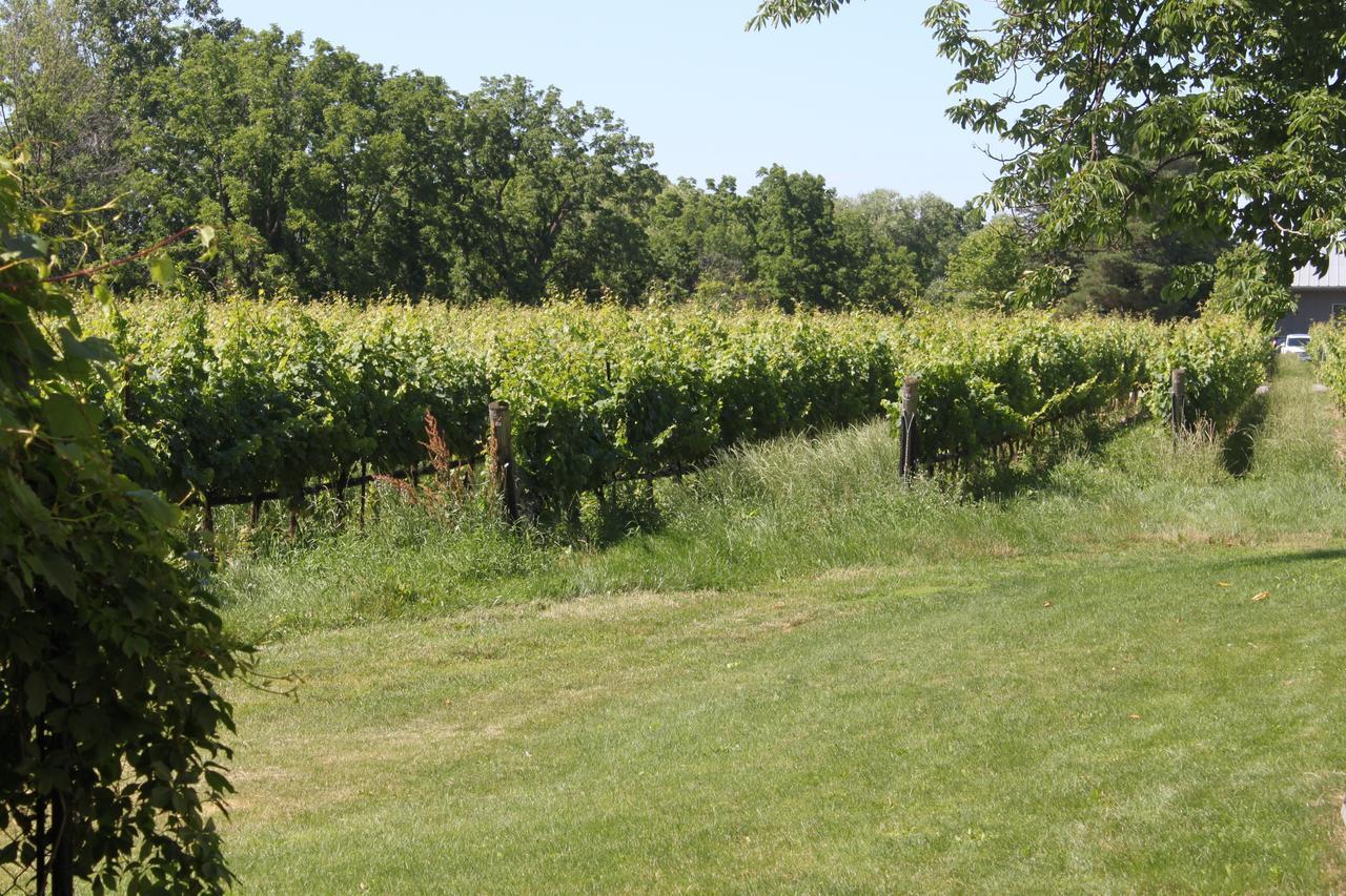 Green Oaks B&B Niagara-on-the-Lake Esterno foto