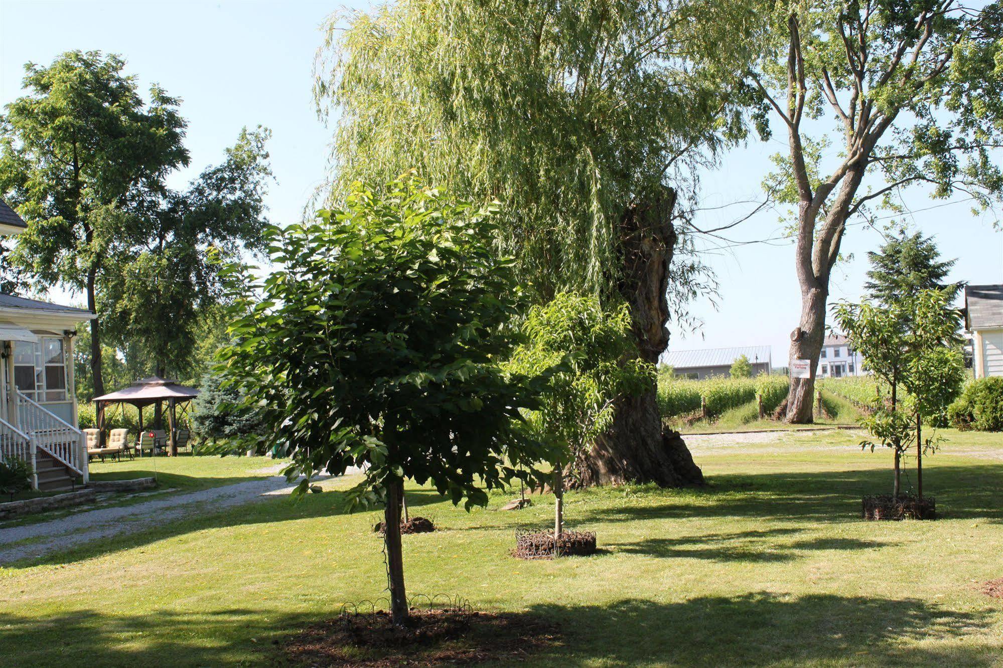 Green Oaks B&B Niagara-on-the-Lake Esterno foto